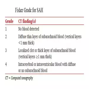 SAH Fisher Grade